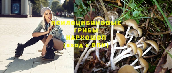 ПСИЛОЦИБИНОВЫЕ ГРИБЫ Ростов