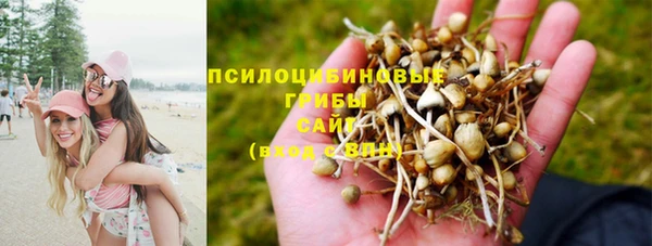 марки lsd Россошь