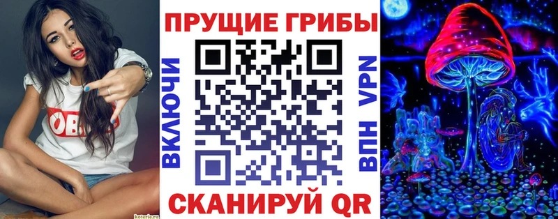 Псилоцибиновые грибы мухоморы  даркнет сайт  Севастополь 