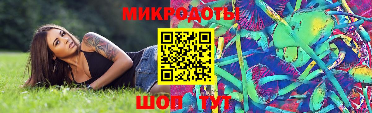 Псилоцибиновые грибы GOLDEN TEACHER Севастополь