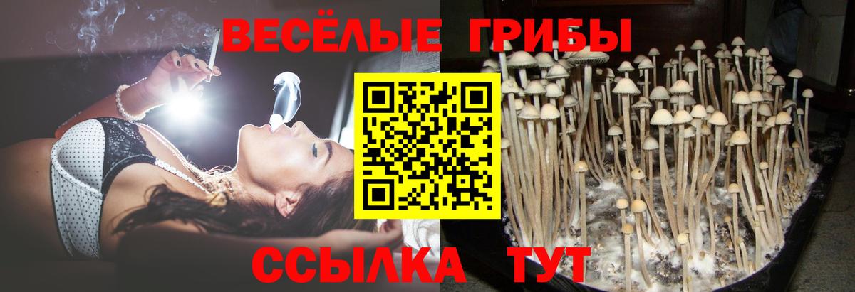 Галлюциногенные грибы Psilocybe  Псилоцибиновые грибы мицелий  Севастополь  цена наркотик  Вход с VPN 